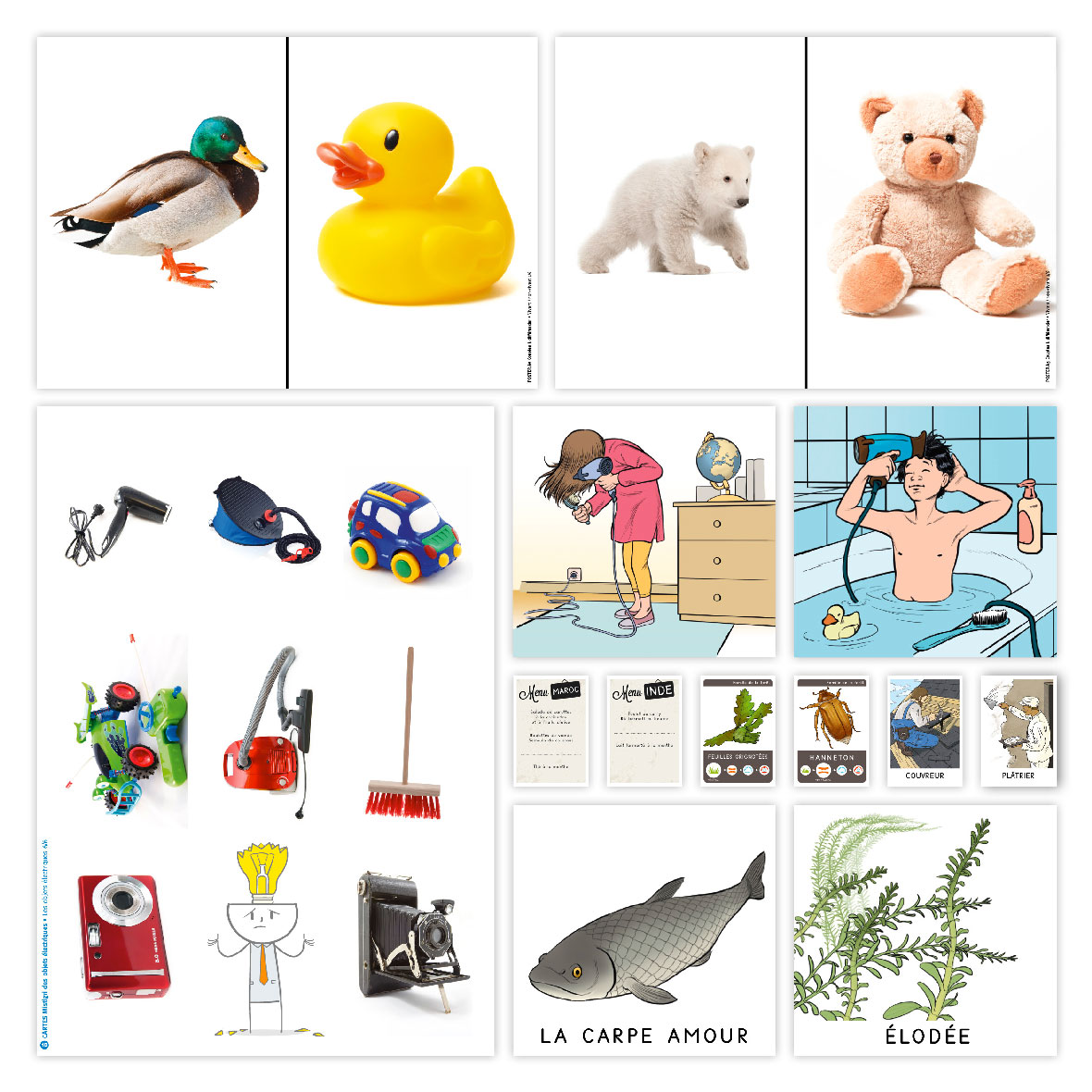 Materiel sciences a vivre cycle 2 miniature 4 acces editions
