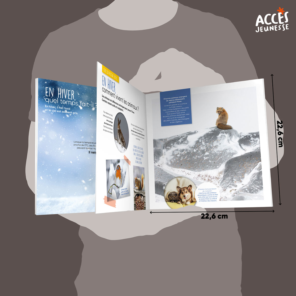 Documentaire l hiver miniature acces jeunesse