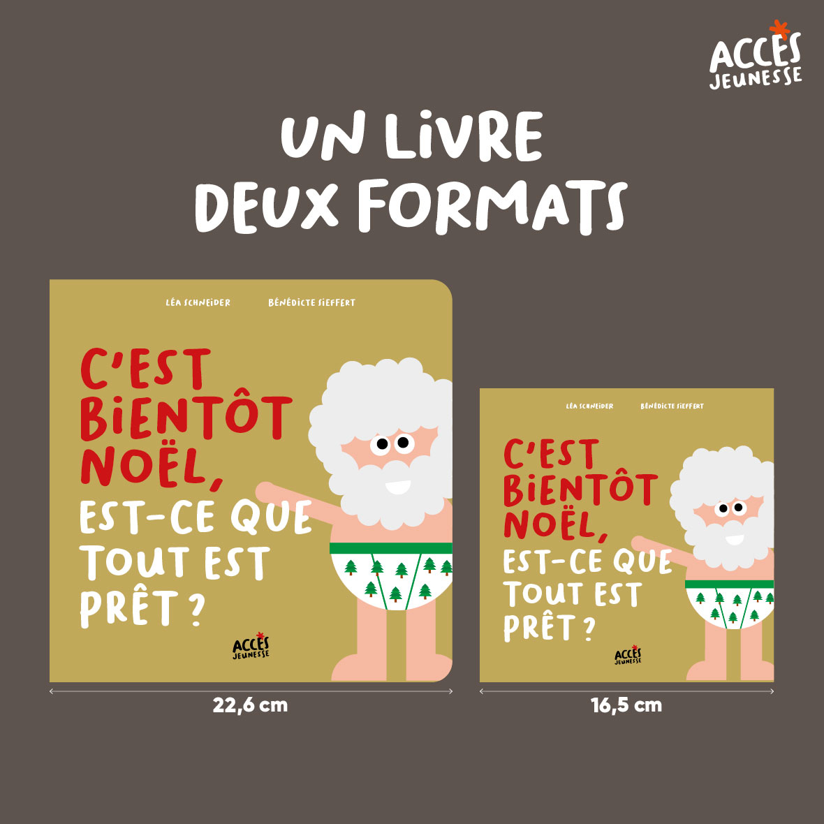 C est bientot noel miniature format acces jeunesse