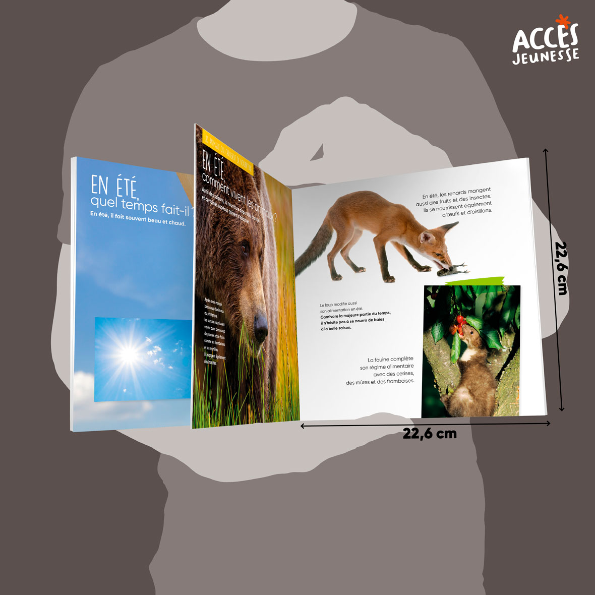 Documentaire l ete miniature acces jeunesse