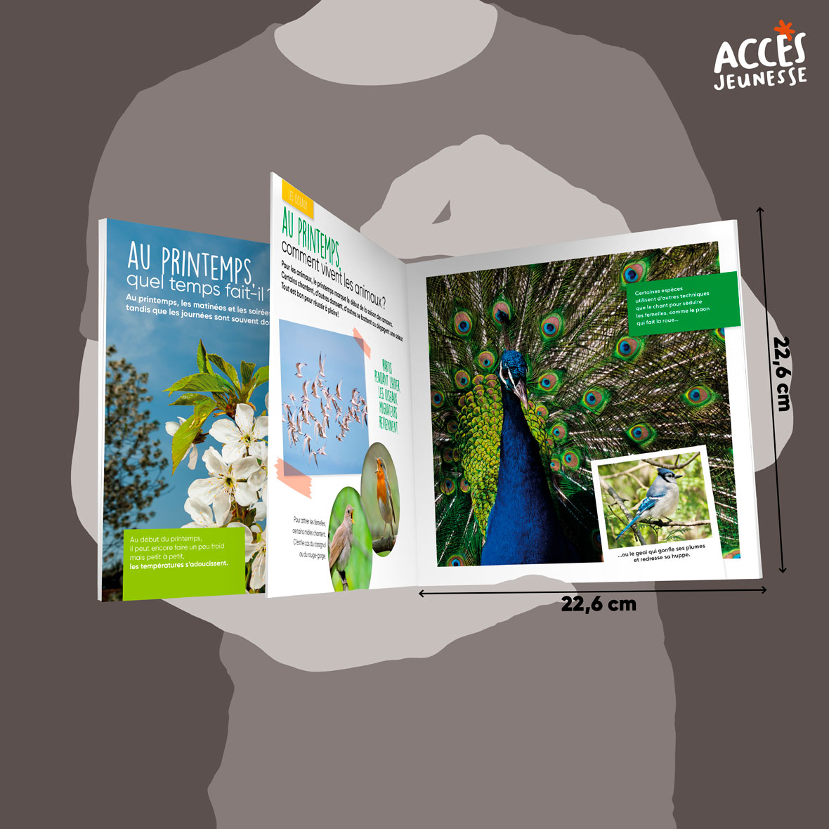 Documentaire le printemps miniature acces jeunesse