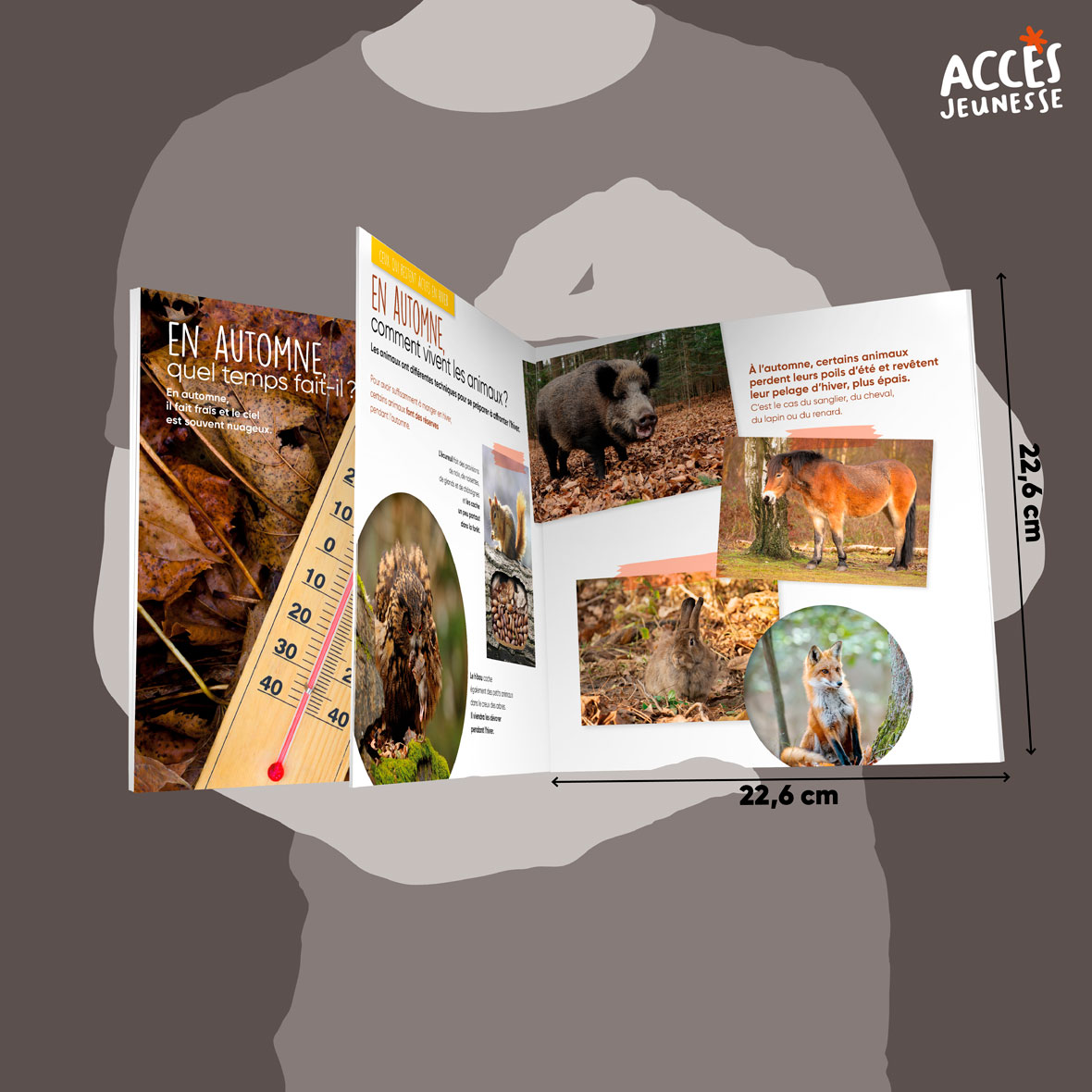 Documentaire l automne miniature acces jeunesse