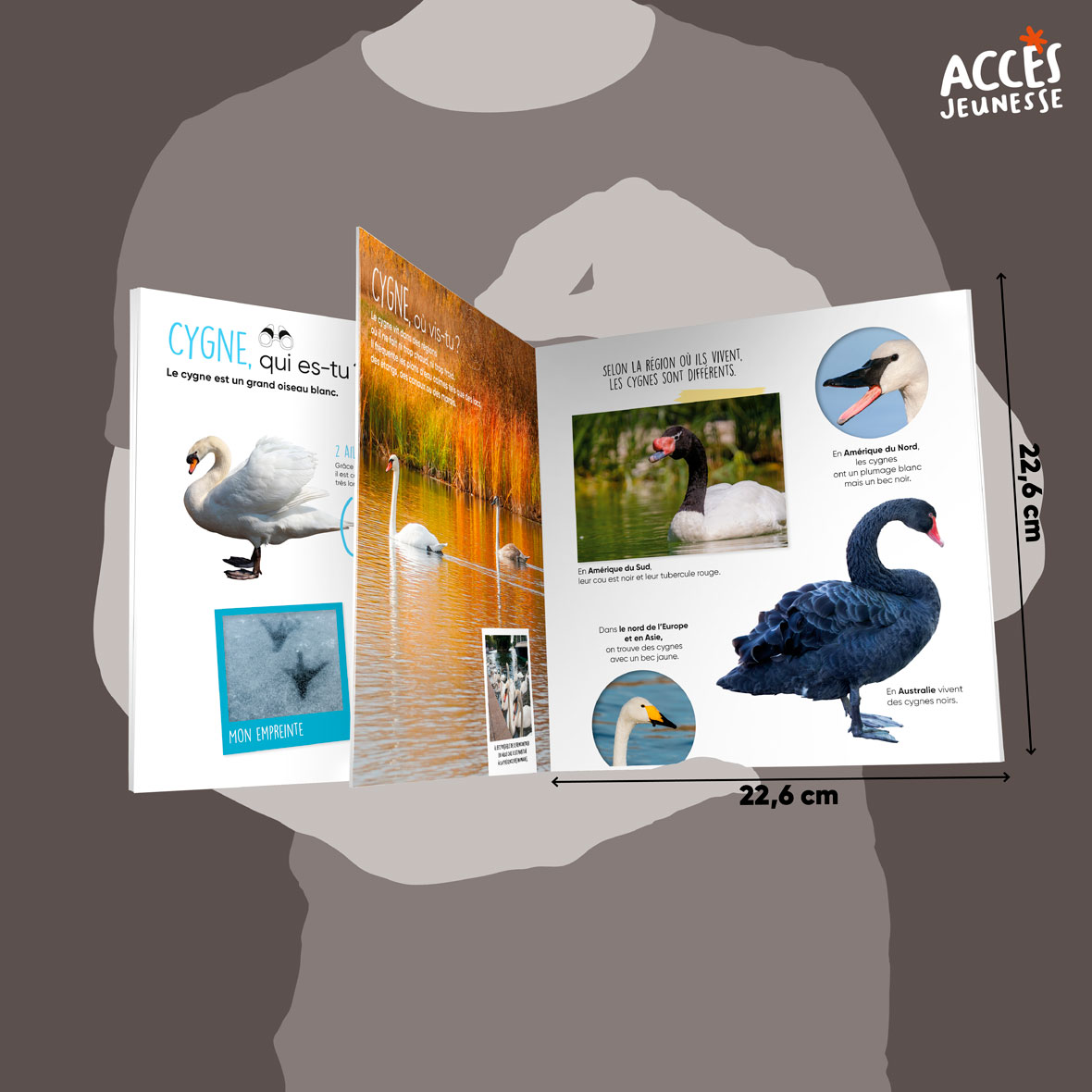 Documentaire le cygne miniature acces jeunesse