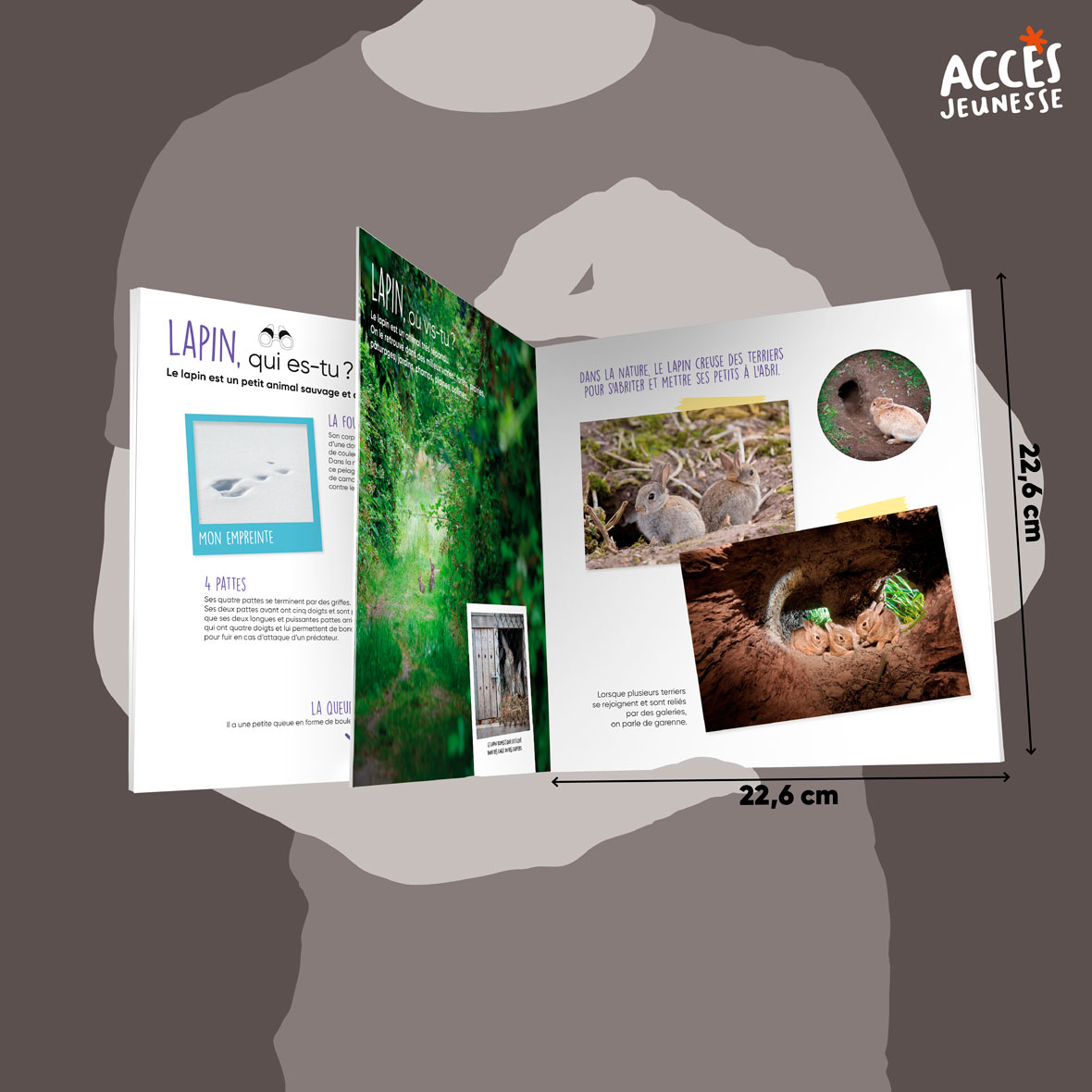 Documentaire le lapin miniature acces jeunesse