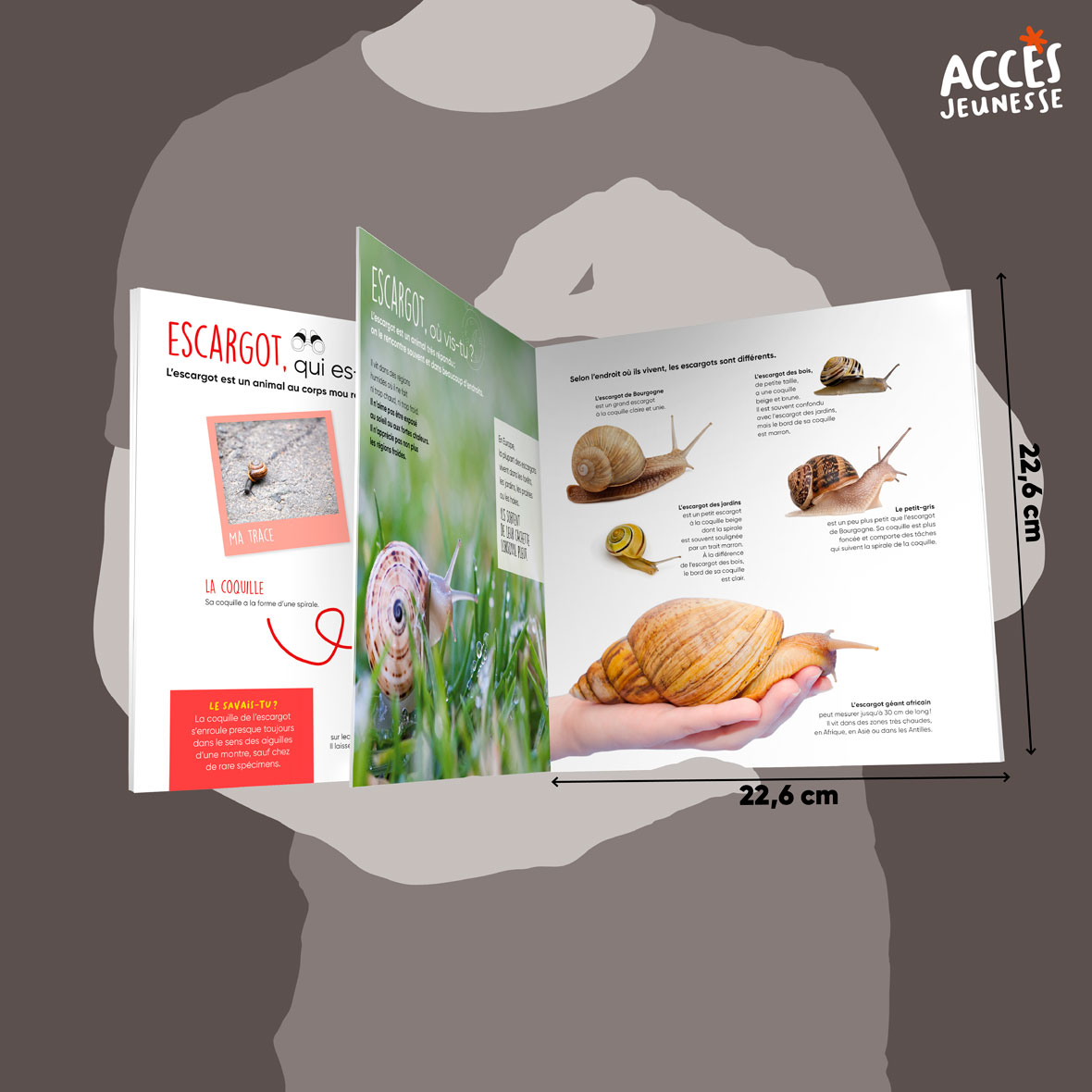 Documentaire l escargot miniature acces jeunesse