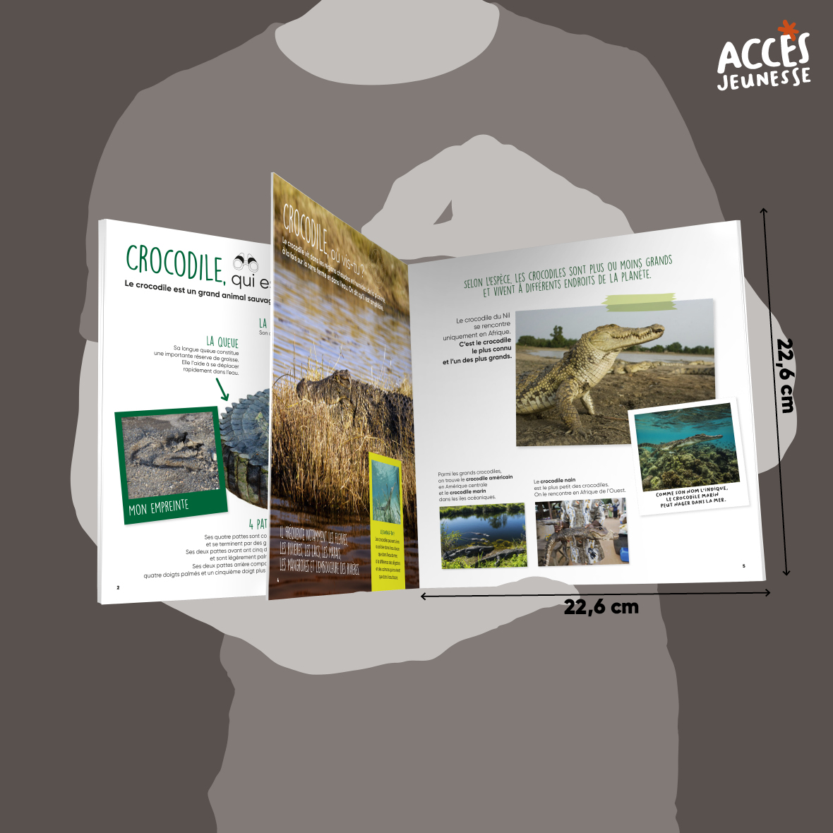 Documentaire le crocodile miniature acces jeunesse